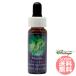  дамский калильная сетка FES цветок essence плита o яркий 