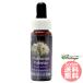  California ba Leilian FES цветок essence плита o яркий 