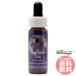  шоколад Lilly FES цветок essence плита o яркий 