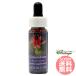  одеколон Vine FES цветок essence плита o яркий 