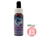 eksp нижний la-zgenchi Anne FES цветок essence плита o яркий 
