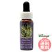  зеленый Cross genchi Anne FES цветок essence плита o яркий 