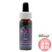  lilac FES цветок essence плита o яркий 