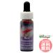  красный пенсов temonFES цветок essence плита o яркий 