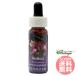  красный badoFES цветок essence плита o яркий 