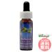  красный дерево FES цветок essence плита o яркий 