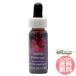  Sierra p обод rose FES цветок essence плита o яркий 