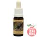 Lizard korutePHI essence животное essence 3