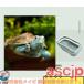 �T�̐��� �[�W �J�� ����P�[�X �傫�� �{�b�N�X �J���� ����~�� �x�e�v���b�g�t�H�[�� �E�o�h�~ ঒��� �����ޗp �T�̊y�� ��e�� �����^�ѕ֗� �֘A�摜1