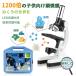  microscope for children Kids 1200 times LED light magnifier magnifying glass insect glasses LED light elementary school student junior high school student living thing magnification switch possible .. go in . festival . student 