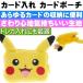 送料無料 ポケモン ピカチュウ カード入れ ポーチ チャック式 キャラクターグッズ あると便利なカード入れ Un078