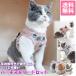  кошка кошка для Harness .. Lead есть кошка домашнее животное кошка Harness лучший симпатичный выпадение нет двойной простой оборудован прогулка шлейка выход 