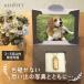 ���S�̎茳���{8�_�Z�b�g�t �⍜�y���_���g �K���X�Ǔ��� M�T�C�Y �S7�F 3�s ���� �G��220�� �⍜�l�b�N���X �� �⍜���� ���� �L �⍜�J�v�Z�� ��d �y�b�g���X �֘A�摜1