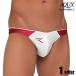 AQUX/�A�b�N�X Big Logo Bikinis "Bordeaux" �X�C���E�F�A �r�L�j�^ �����Y���� �C�p�� �j������ �r�[�`�E�F�A