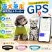 2026 новая модель для домашних животных GPS GPS отправка контейнер iOS/Android соответствует месяц сумма не необходимо утерян соответствует ошейник кошка собака кошка для Tracker маленький размер кошка для GPS Tracker собака для для домашних животных Tracker 