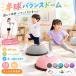 �o�����X�{�[�� �o�����X�h�[�� ���~�^ 45cm 58cm ���� �g�����|���� �q�ǂ� �̗� ���U �����V�� �q�� ��l �̊��g���[�j���O �o�����X �m�� �V�� ����b����