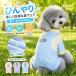 �y�݌ɏ����Z�[���z�y �h�� ���� UPF50�{�z���� �t�� �����p�[�X �Ȃ� ���̕� ���b�V�� �h�� �Ђ��� �L�� ���� �p�W���} �h�b�O�E�F�A �^���N�g�b�v �ʋC��