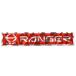 �A���~�E���R�X�e�b�J�[�@RANGER�@���b�h�i�ԁj�@����@�����W���[