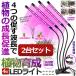 2 piece set plant rearing light 4.. LED bar ultra-violet rays UV usb supply of electricity high-quality 360 times angle adjustment lamp day . shortage cancellation succulent plant rearing hydroponic culture SHOKU4IKU
