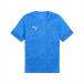 [1 пункт до почтовая доставка возможно ] [puma] Puma teamCUP TR SS рубашка (660213)(02) электро Royal [ посылать за товар ]
