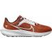 ʥ 塼  եåȥͥ Nike Pegasus 40 Texas Running Shoes Texas