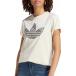 ǥ  ȥåץ ǥ adidas Originals Women's Trefoil Monogram Infill T-Shirt Wonder White