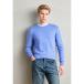 åɥ ˥å&   SEASONAL CORE REGULAR FIT CREWNECK - Jumper - blue bonnet