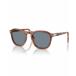 �ڥ륽�� ���󥰥饹������������ ���������꡼ ��ǥ����� Unisex Sunglasses, Po3345S Terra Di Siena