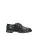 DANIELE ALESSANDRINI ˥ åɥ꡼ ɥ쥹塼 塼  Lace-up shoes Black