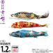  koinobori Tokunaga обыкновенный карп коинобори одиночный товар 1.2m столица .. хорошо сделанный .... обыкновенный карп полиэстер цельный пересечение тканый ткань 001-170-s