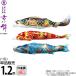 [ all goods P10%] sales SALE koinobori Tokunaga common carp koinobori single goods 1.2m capital .. skillful .... common carp polyester solid intersection woven cloth 001-170-s