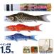 [ all goods P10%] sales SALE koinobori Murakami common carp koinobori veranda for 1.5m small size stand set dragon . common carp .. . sho dragon blow sink house .* name inserting un- possible h265-mkcp-155-167-f