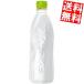 ���x�����X�{�g�� �������� �R�J�R�[�� ���E��E�́E�� 560ml�y�b�g�{�g�� 24�{��[����͂�]