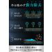 �v�C�N���[�i�[ �v�C���ꗎ�Ƃ��N���[�i�[ ���U�[�N���[�i�[ �v���i�N���[�i�[ �C�N���[�i�[ �C���� �v�C�����N���[�� �v���i����� �֘A�摜4