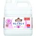 �y3�_�Z�b�g�z�L���C�L���C �A�n���h�\�[�v 4000ml