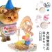 �y7�_�Z�b�g�z�y�b�g �o�[�X�f�[ �� �L �a�����Z�b�g �a���� �O�b�Y �X�^�C ����t�� �p�[�e�B�[�Z�b�g �y�b�g�p�i �X�q �L�O�B�e ���킢�� �h�b
