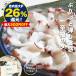  время ограничено сложенный . половина остров вода осьминог 300g Hokkaido бог . внутри . прямая поставка гигантский осьминог ломтик рефрижератор sashimi ... сделал .... сырой еда для sake. . ваш заказ подарок подарок на Bon Festival подарок по случаю конца года 