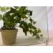 bruz I BUF1807A примерно 25cm× примерно 22cm