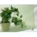  флора mint green примерно 30cm× примерно 22cm