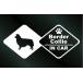  собака. стикер [DOG STICKER] собака стикер окантовка колли IN CAR