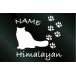  имя ввод кошка кошка стикер himalayan