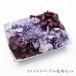  amethyst purple material for flower arrangement set 1 case handicrafts craft herbarium aroma wax bar botanikaru sachet preserved flower purple . flower Chris Pam 