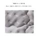 �A�e�b�N�X���� �ƒ�p �d�ʎ��Ê� �C�I�l�X �v���~�A�� AX-BIA603S �V���O�� ���� ������ �s���� �����֔� ���� �����V�[�g ���� �֘A�摜5