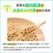 �A�X�g���V���� �W���j�A�v���e�C�� �������Z�b�g 4���~�e1�� �l�H�Ö������Y�� �q���p ���w�� ���w�� �g�� ���� �哤 �\�C �֘A�摜5