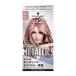 ヘンケル got2b ボンディング・メタリックス ヘアカラー シルバーサクラ
