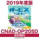 CNAD-OP20SD パイオニア カロッツェリア オービスSD