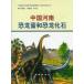 [ китайский язык упрощенные иероглифы ] China река юг . дракон . мир . дракон окаменелость 