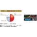 �u25������I�ő�7,000�~�����N�[�|���I�v�u���a�X�g�� �c�A�[�X�e�[�W �G�N�X�g���f�B�X�^���X �S���t�{�[�� 1�_�[�X/12�� �֘A�摜4