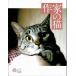  author. cat / Corona * books 