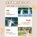 �t�@�~���[�o�h�~���g�� ��l���K�� ������ �^���s������ �����V�уo�h�~���g���g���[�j���O ������ �������� �Ǔ\��t�� �ȒP�ݒu���ǂ��̓� �v���[���g ���� �֘A�摜2